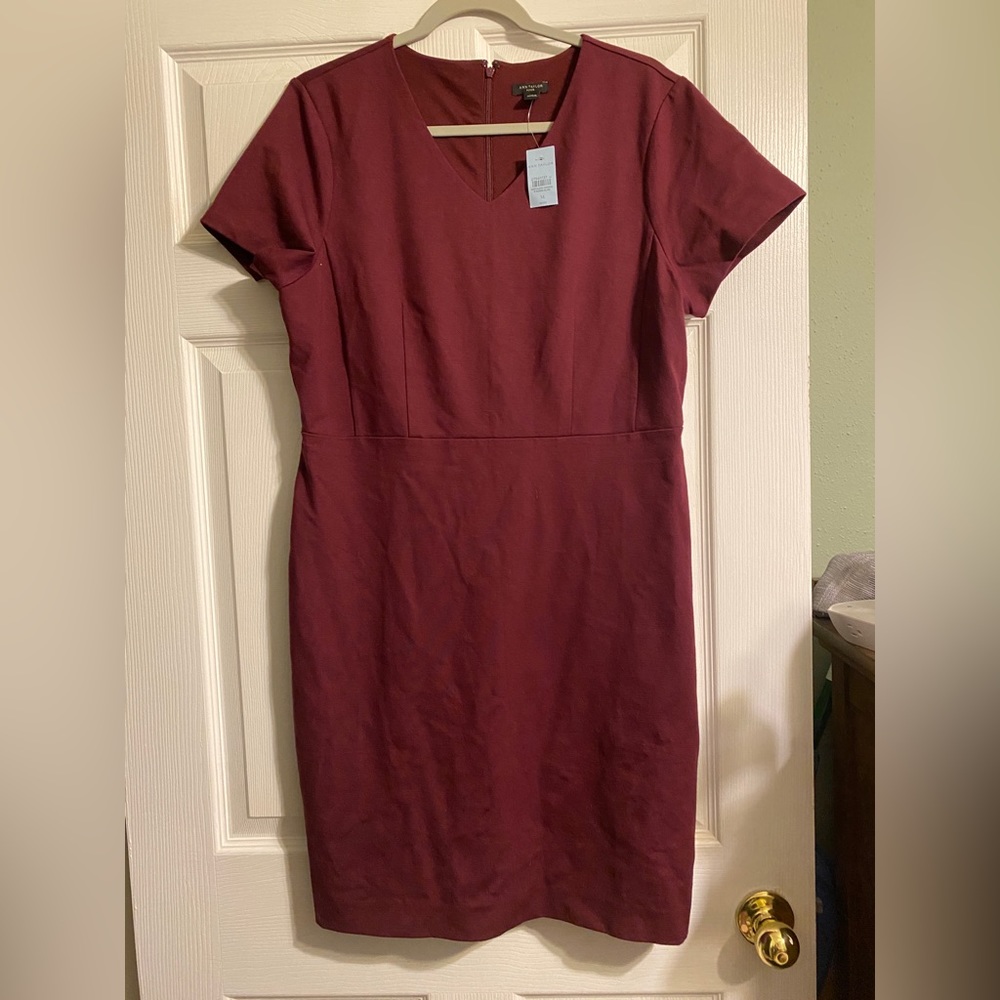 AT NWT short sleeve dress